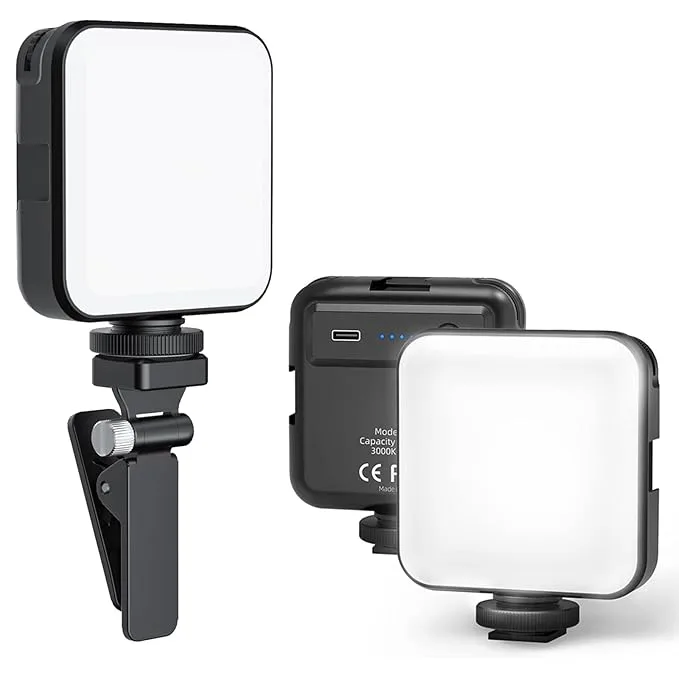 Portable Light
